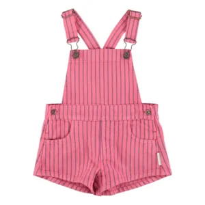 Peto ratlles pink/indigo